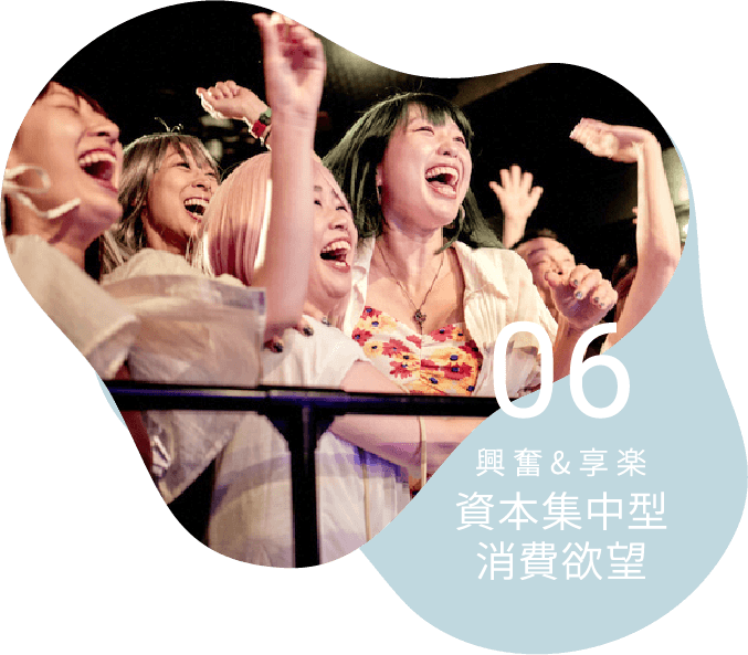 06 興奮&享楽 資本集中型消費欲望
